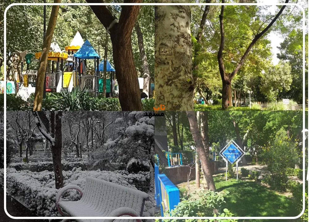 پارک فهمیده